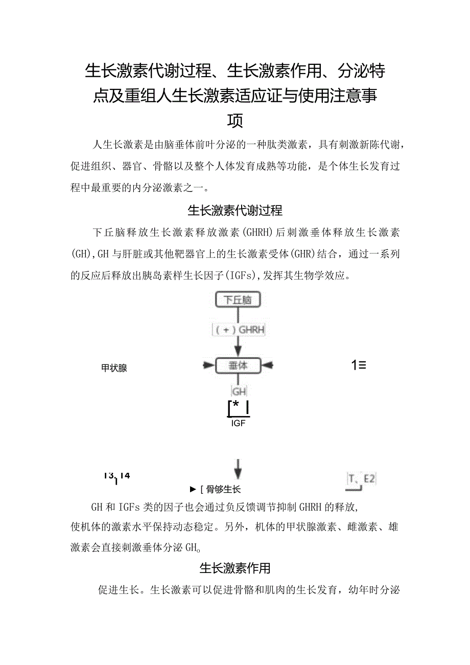 生长激素代谢过程、生长激素作用、分泌特点及重组人生长激素适应证与使用注意事项.docx_第1页