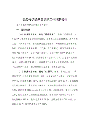 党委书记抓基层党建工作述职报告 .docx