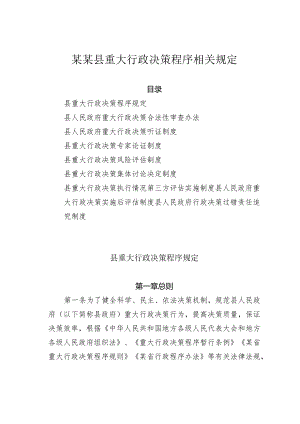 某某县重大行政决策程序相关规定.docx