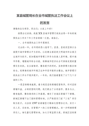 某县城管局长在全市城管执法工作会议上的发言.docx