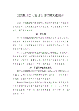 某某集团公司建设项目管理实施细则.docx