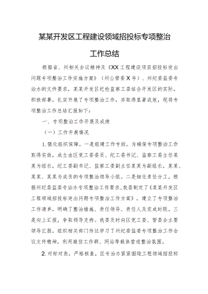 某某开发区工程建设领域招投标专项整治工作总结.docx