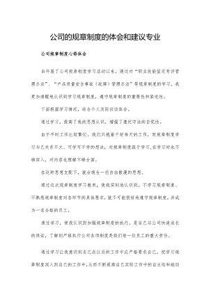 公司的规章制度的体会和建议专业.docx