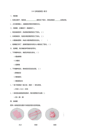 3-9《多变的纸》练习（含答案)科学青岛版六三制三年级下册.docx