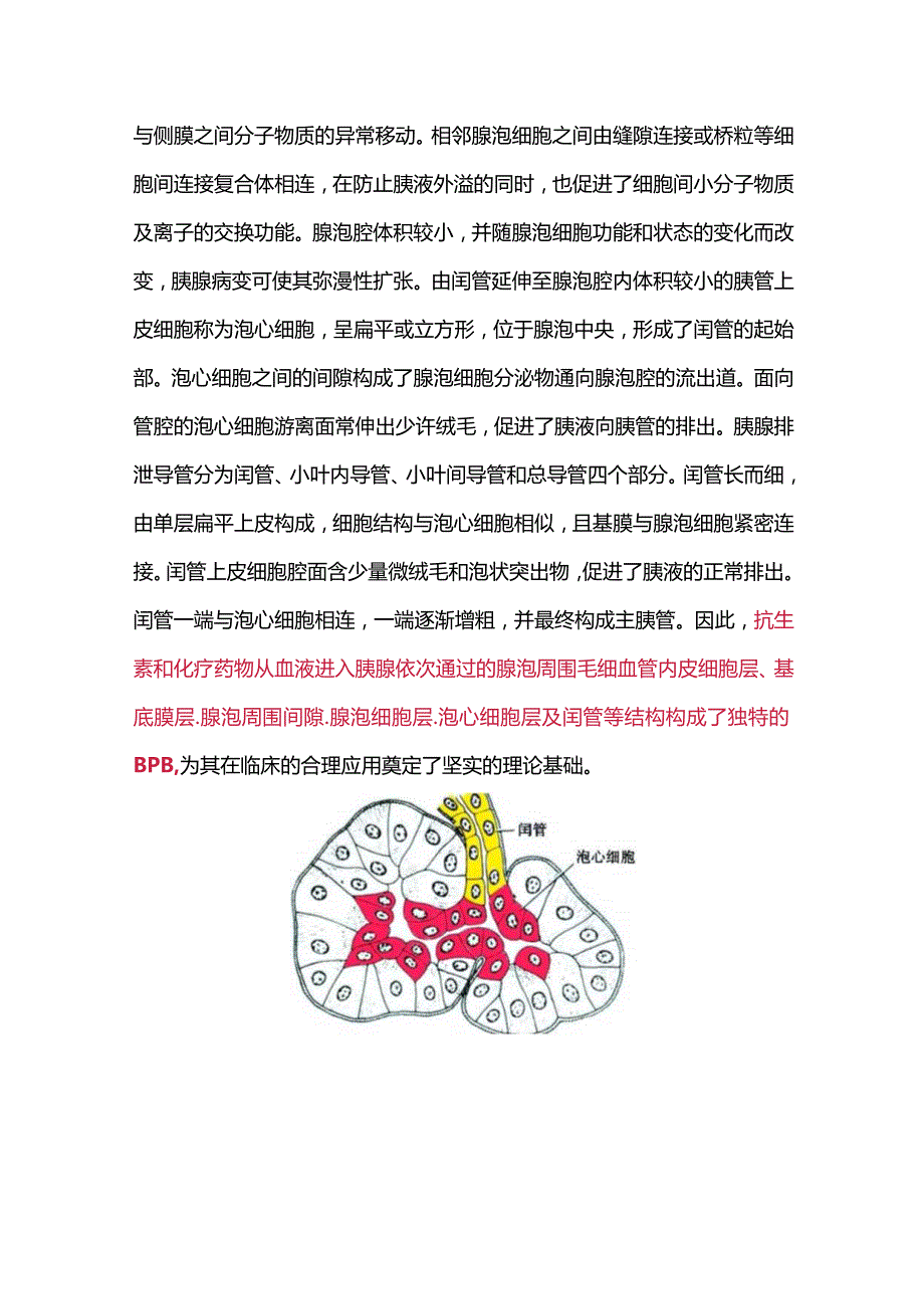 2024血胰屏障及其临床意义.docx_第2页