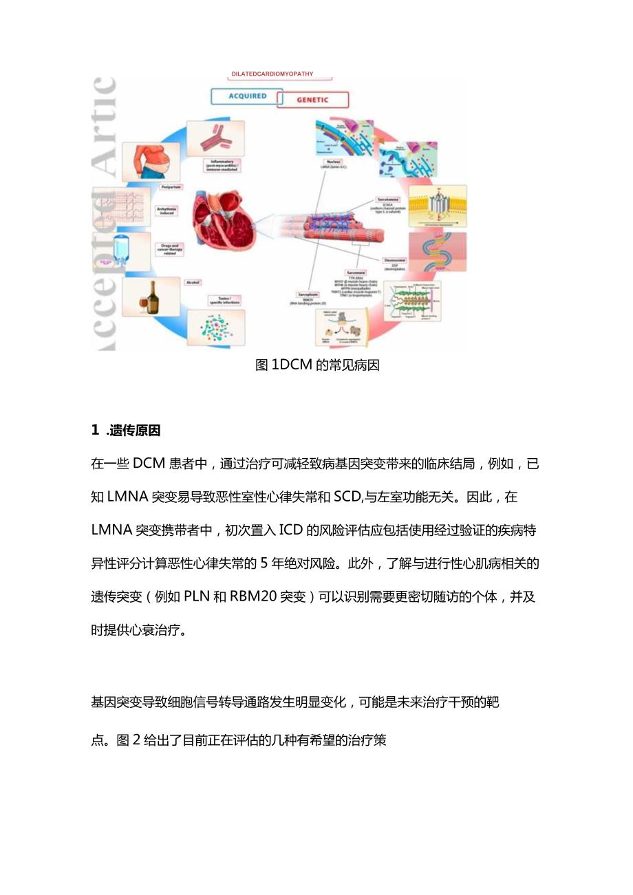 2024扩张型心肌病和肥厚型心肌病管理的新方案.docx_第2页