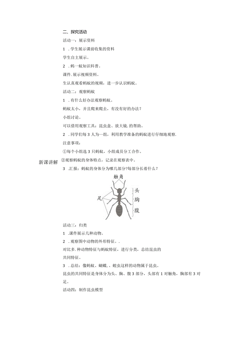 1-1蚂蚁（教案）青岛版科学四年级上册.docx_第2页