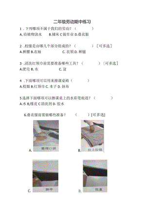 二年级上册《劳动》期中期末复习测试卷（附答案）.docx