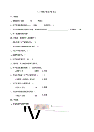 4-13《种子发芽了》练习（含答案）科学青岛版六三制三年级下册.docx