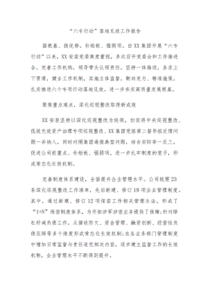 “六专行动”落地见效工作报告.docx