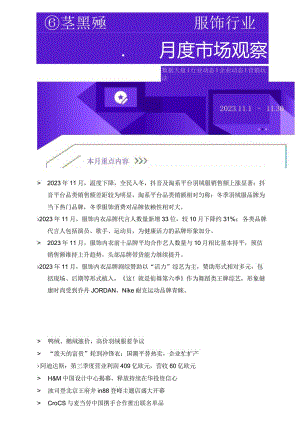 11月服饰内衣行业洞察报告_市场营销策划_重点报告202301202_doc.docx