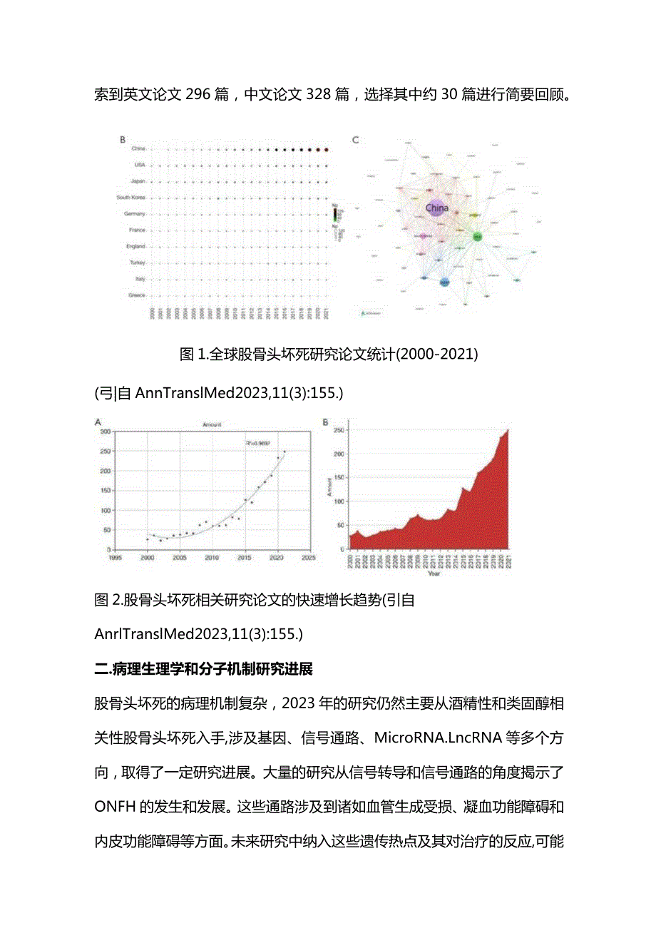 2023股骨头坏死的研究与诊治进展年度报告.docx_第2页