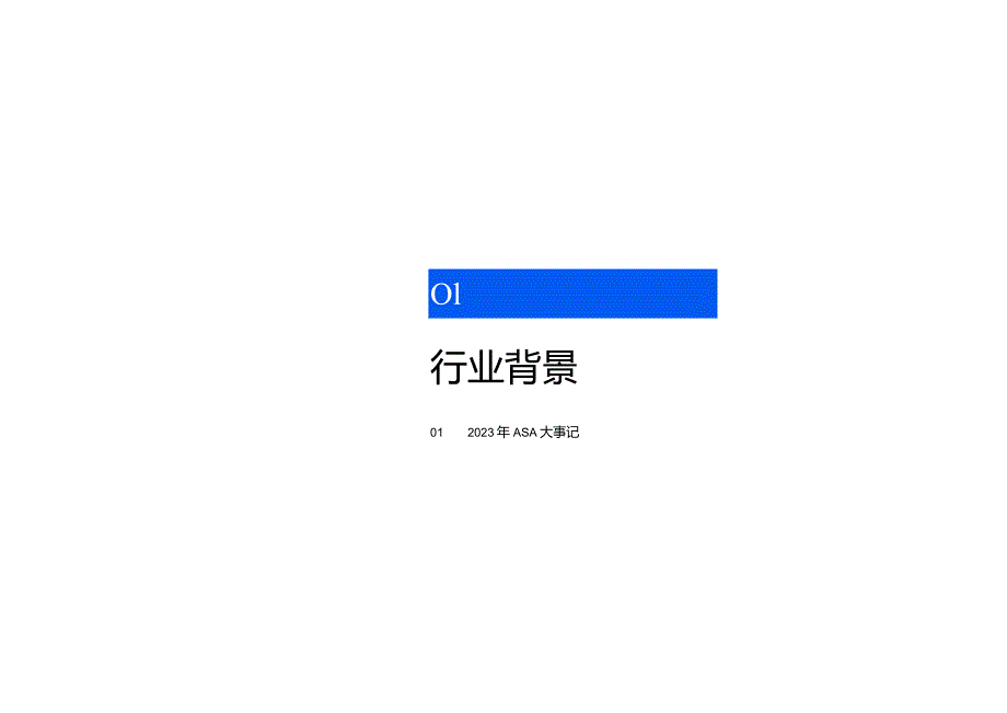 AppleAds2023年度数据报告.docx_第2页