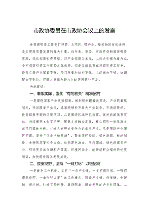 市政协委员在市政协会议上的发言.docx