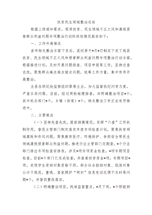 扶贫民生领域整治总结.docx