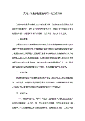 实施大学生乡村医生专项计划工作方案.docx