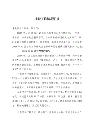 新区建设及挂职工作情况汇报.docx