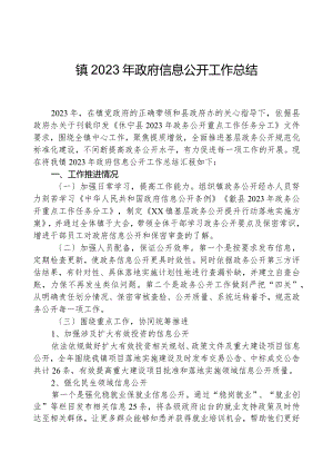 镇2023年政府信息公开工作总结.docx