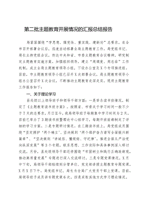 第二批主题教育开展情况的汇报总结报告.docx