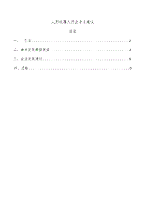 人形机器人行业未来建议.docx