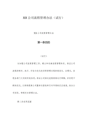 XX公司流程管理办法(试行).docx