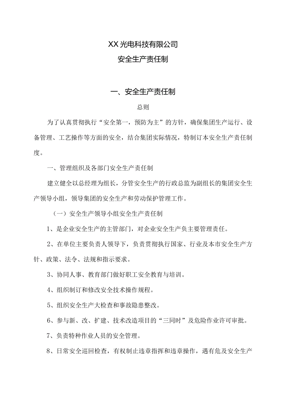 XX光电科技有限公司安全生产责任制（2023年）.docx_第1页