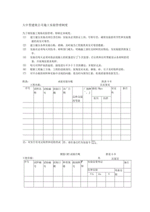 大中型建筑公司施工实验管理制度.docx