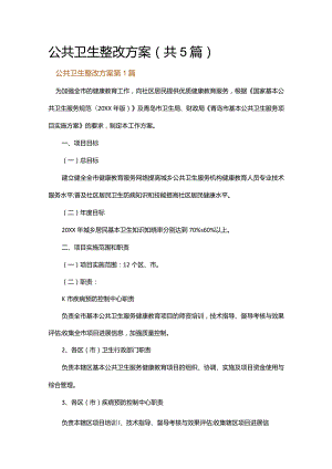 公共卫生整改方案.docx