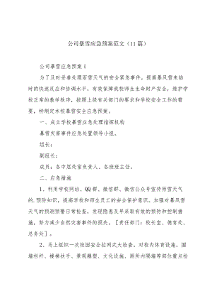 公司暴雪应急预案范文（11篇）.docx