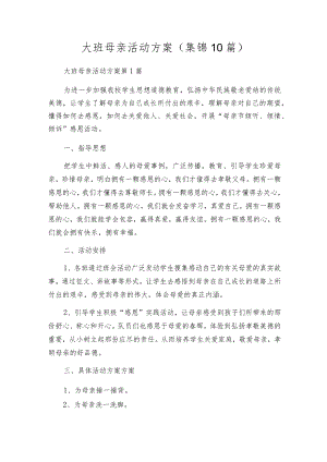 大班母亲活动方案（集锦10篇）.docx