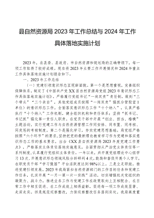 县自然资源局2023年工作总结与2024年工作计划.docx