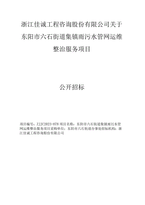 集镇雨污水管网运维整治服务项目招标文件.docx