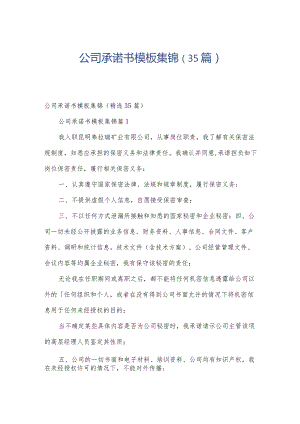 公司承诺书模板集锦（35篇）.docx