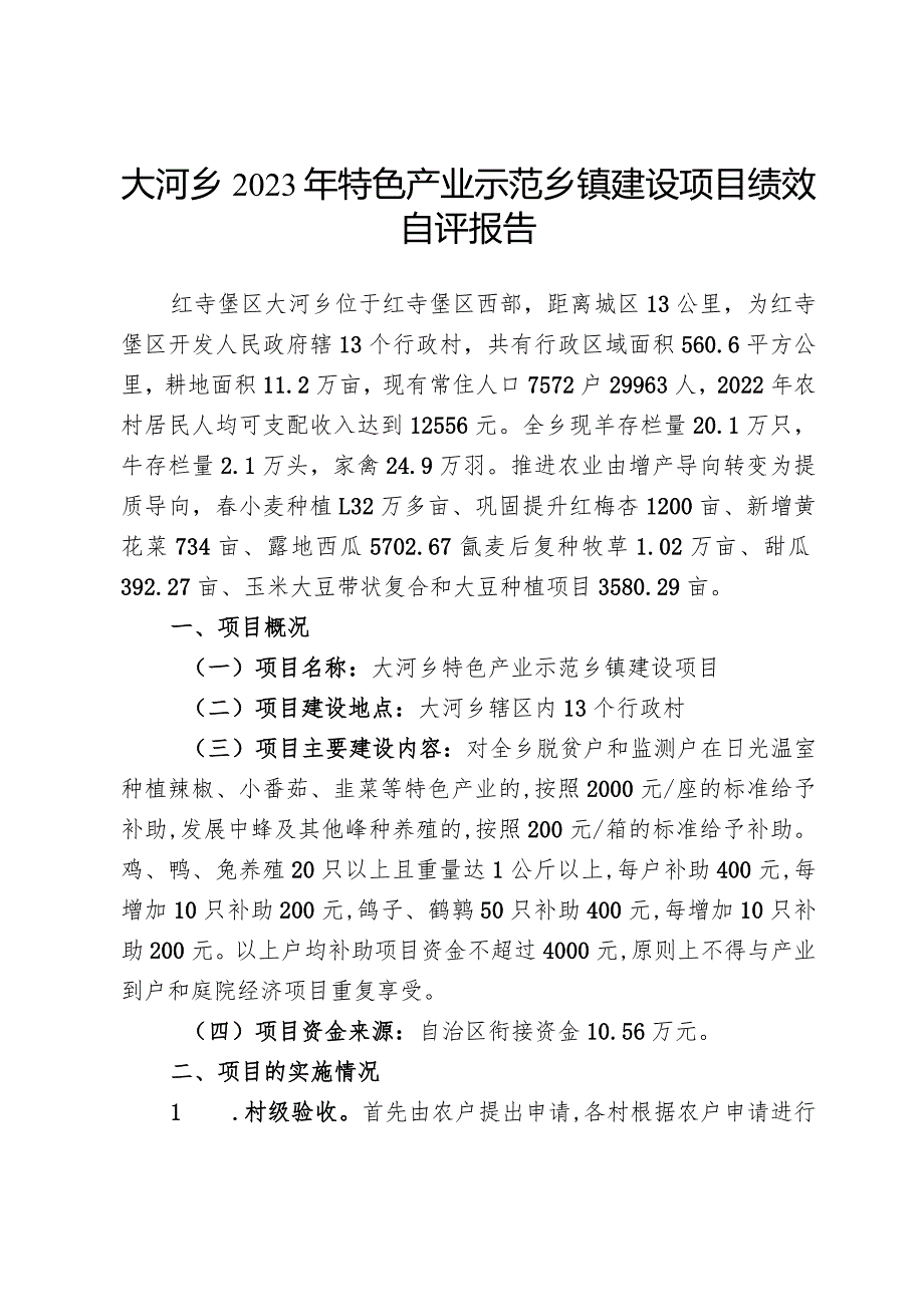 大河乡2023年特色产业示范乡镇建设项目绩效自评报告.docx_第1页