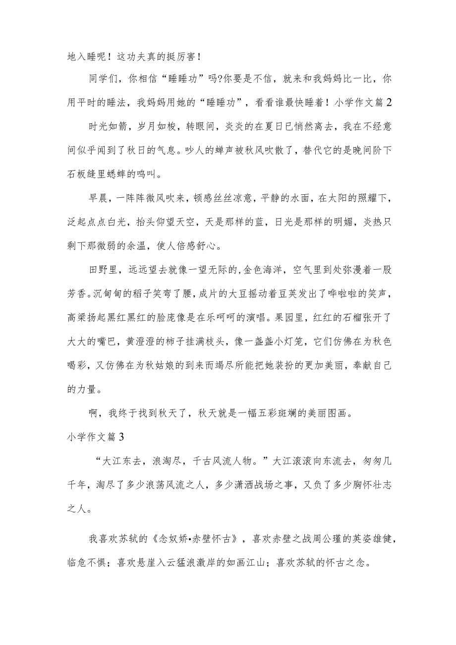 小学作文10篇.docx_第2页