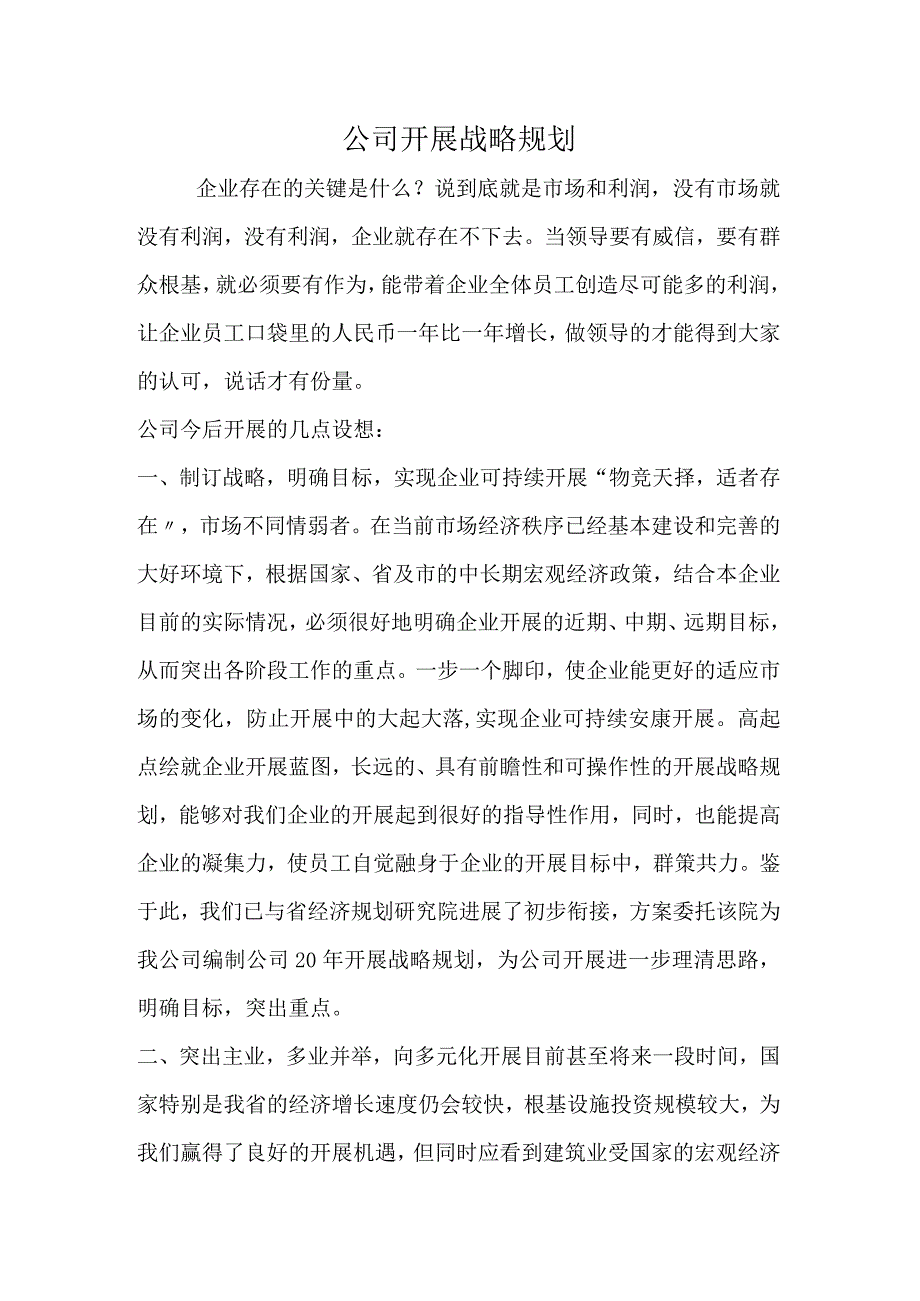 公司发展战略规划.docx_第1页