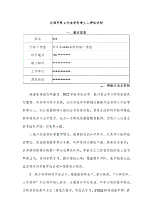 名师网络工作室学科带头人研修计划.docx