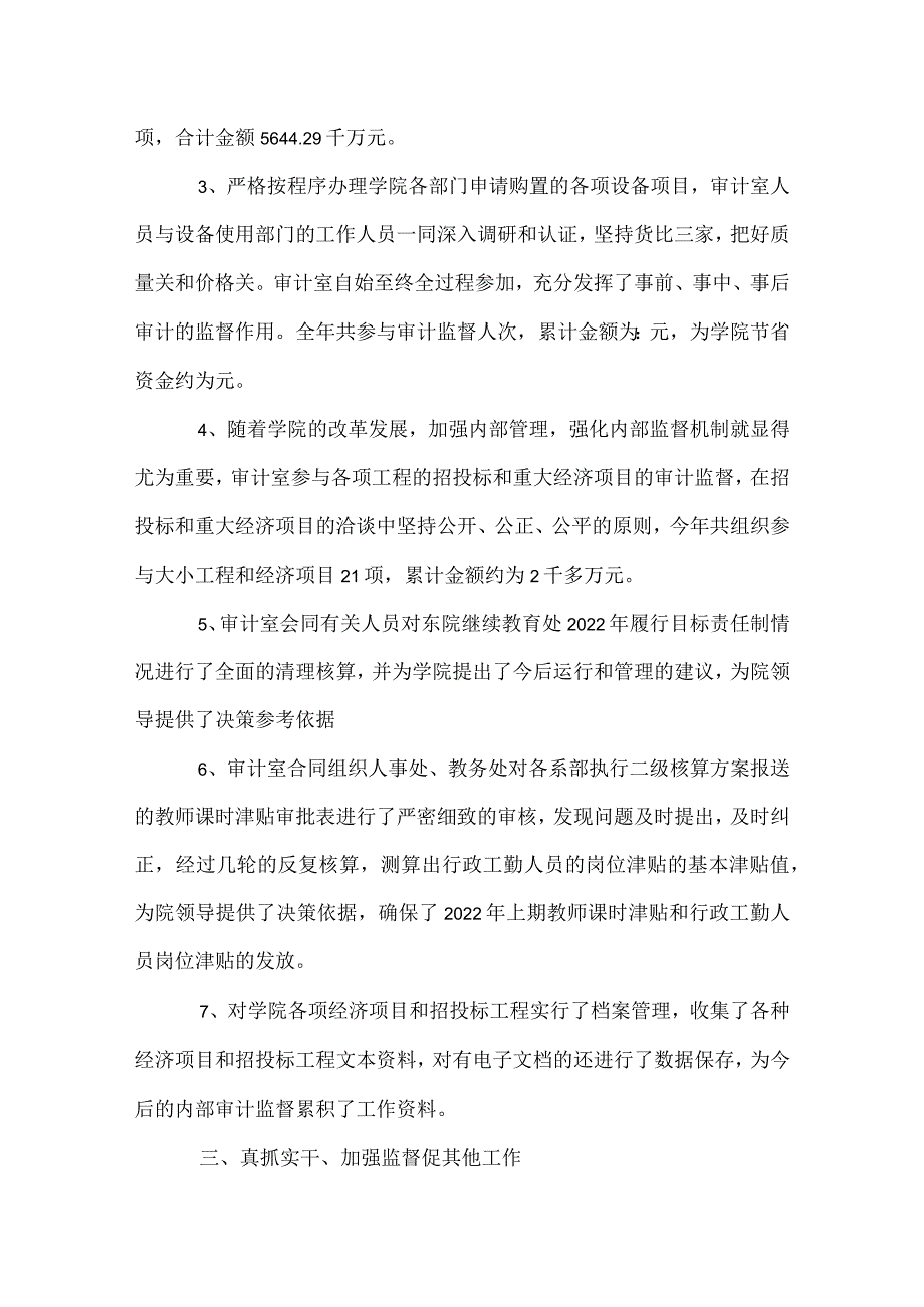 年终审计室工作总结.docx_第2页