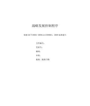 战略发展控制程序.docx