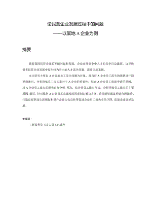 民营企业发展问题分析研究——以某地a企业为例 工商管理专业.docx