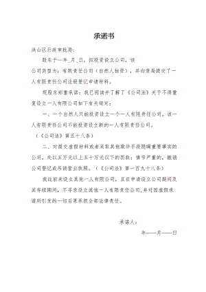 自然人独资公司承诺书.docx