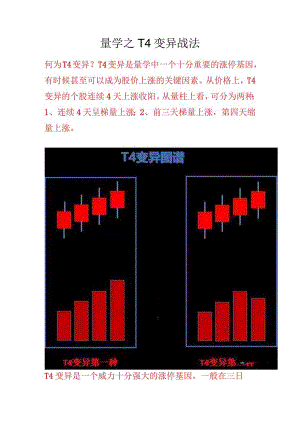 量学之T4变异战法.docx