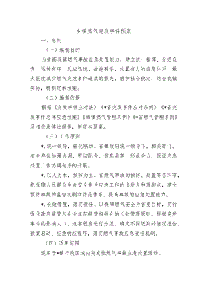 乡镇燃气突发事件预案.docx