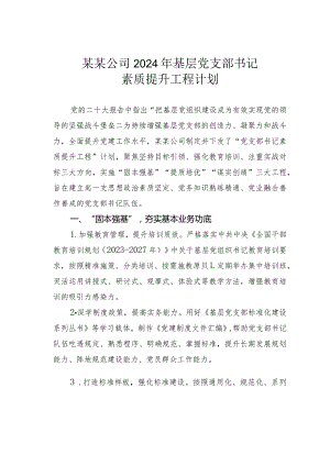 某某公司2024年基层党支部书记素质提升工程计划.docx