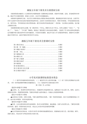 新湘教版五年级下册美术教学计划、教案.docx