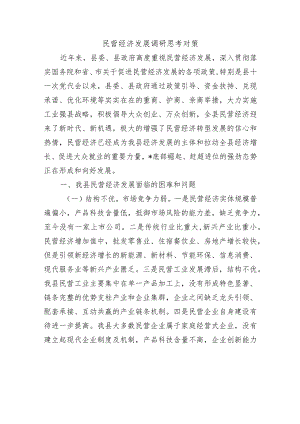 民营经济发展调研思考对策.docx