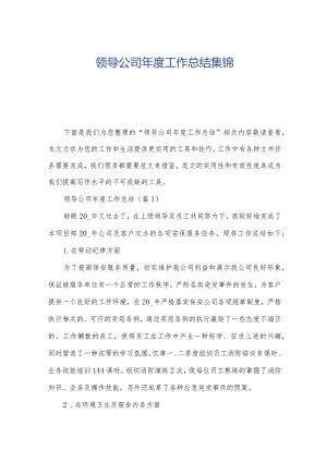 领导公司年度工作总结集锦.docx