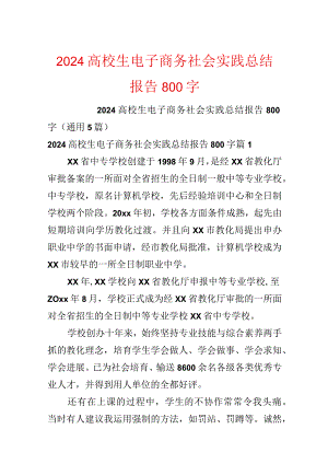 2024大学生电子商务社会实践总结报告800字.docx