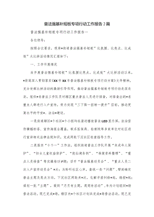 普法强基补短板专项行动工作报告2篇.docx