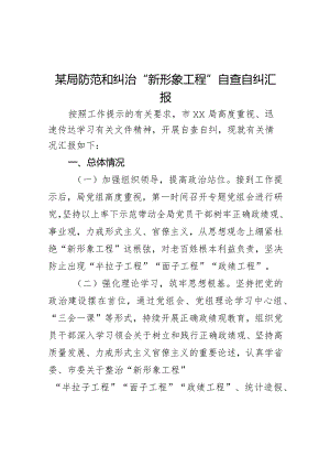 某局防范和纠治“新形象工程”自查自纠汇报.docx